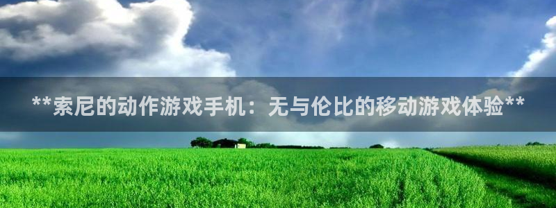旺财28测速